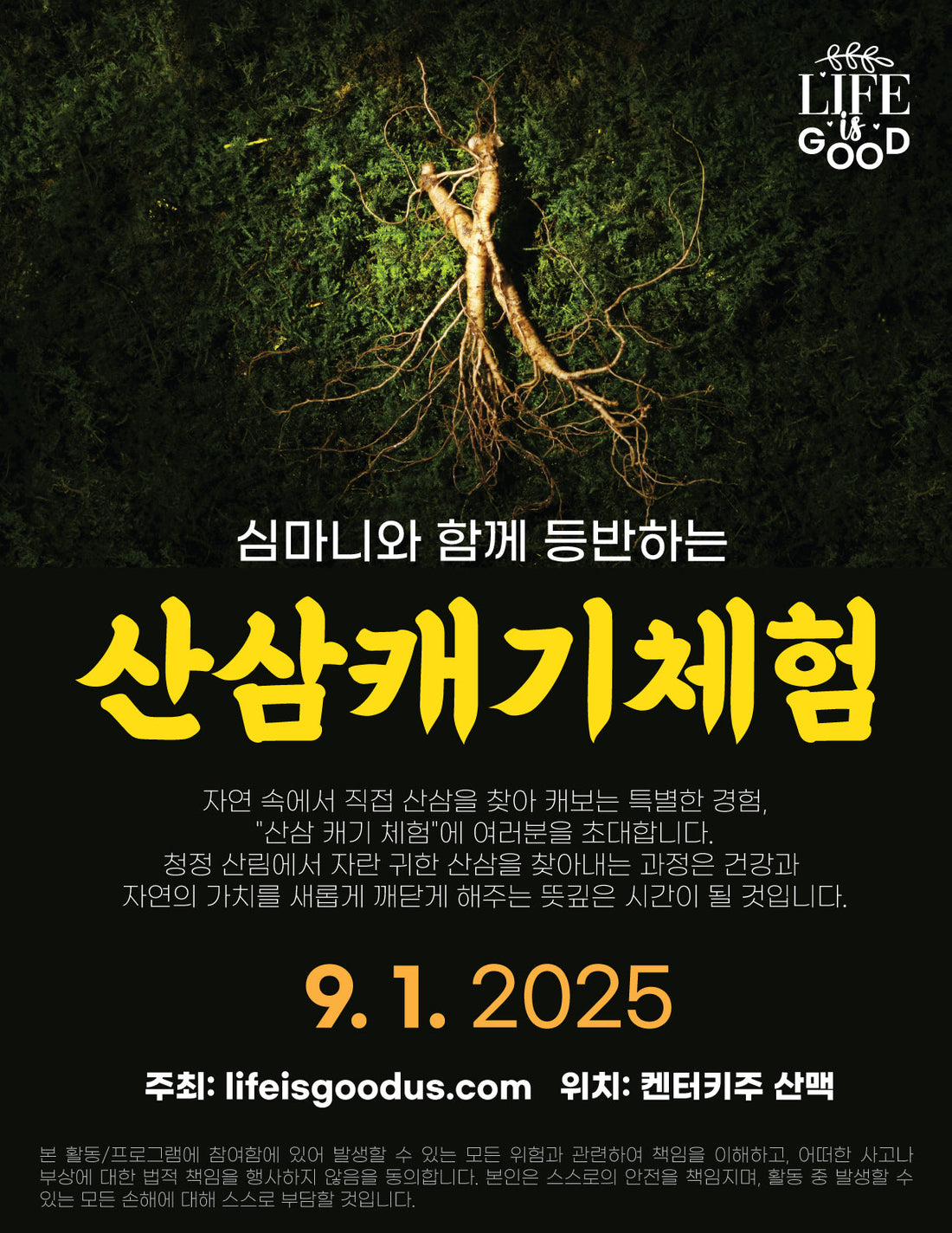 WILD GINSENG
